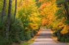 USA, Michigan, Ottawa National Forest. Road through forest in autumn. Art Print
